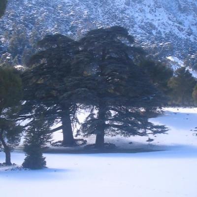 Ain antar 02
