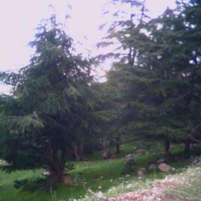 Ain antar 13