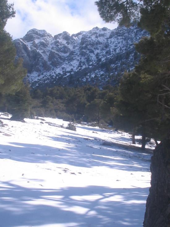 Ain antar 10