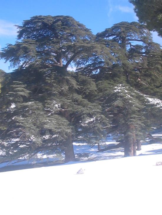 Ain antar 05