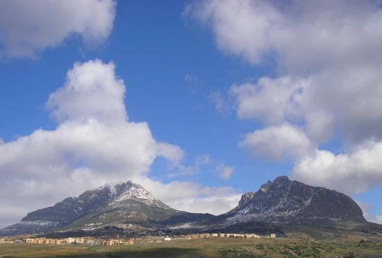 Ouarsenis 11