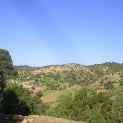 Lazharia Forêt
