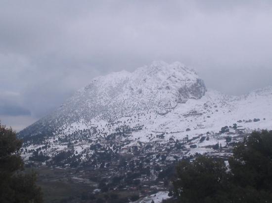 Ouarsenis 05