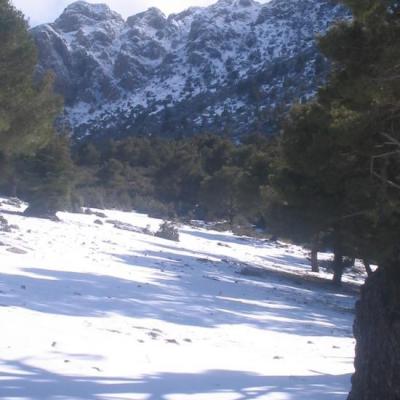 Ain antar 01