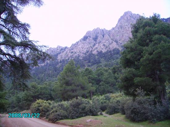 Ain antar 08